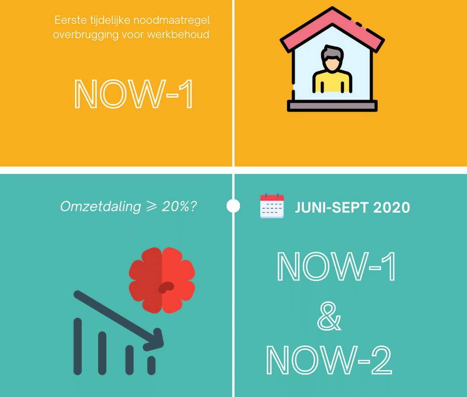 NOW inzichtelijk [Infographic]